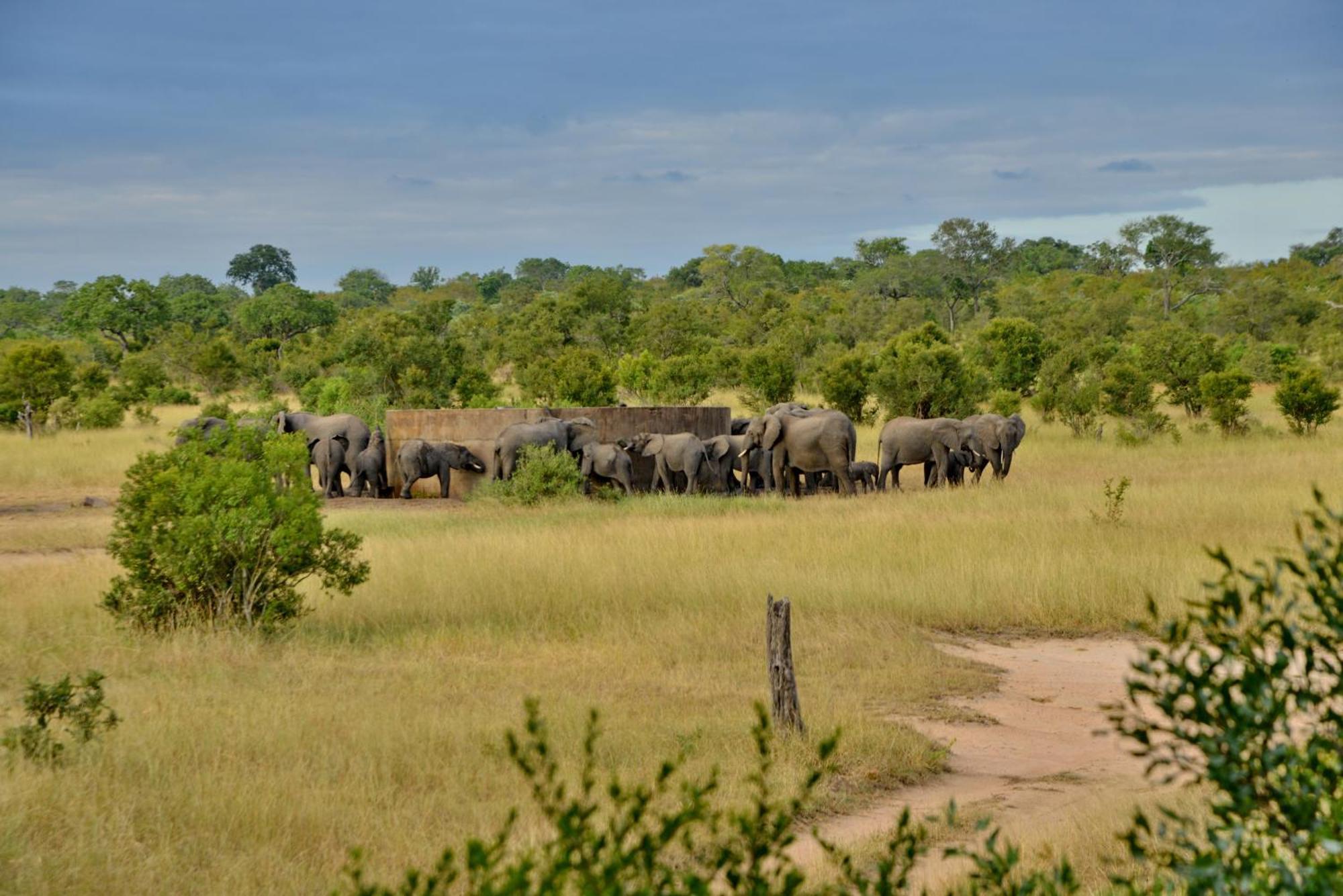 Отель Rhino Walking Safaris Скукуза Экстерьер фото