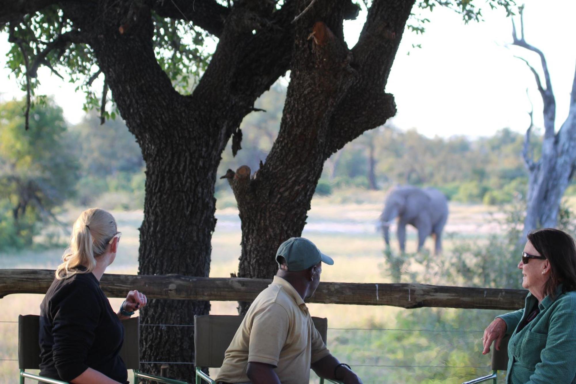 Отель Rhino Walking Safaris Скукуза Экстерьер фото
