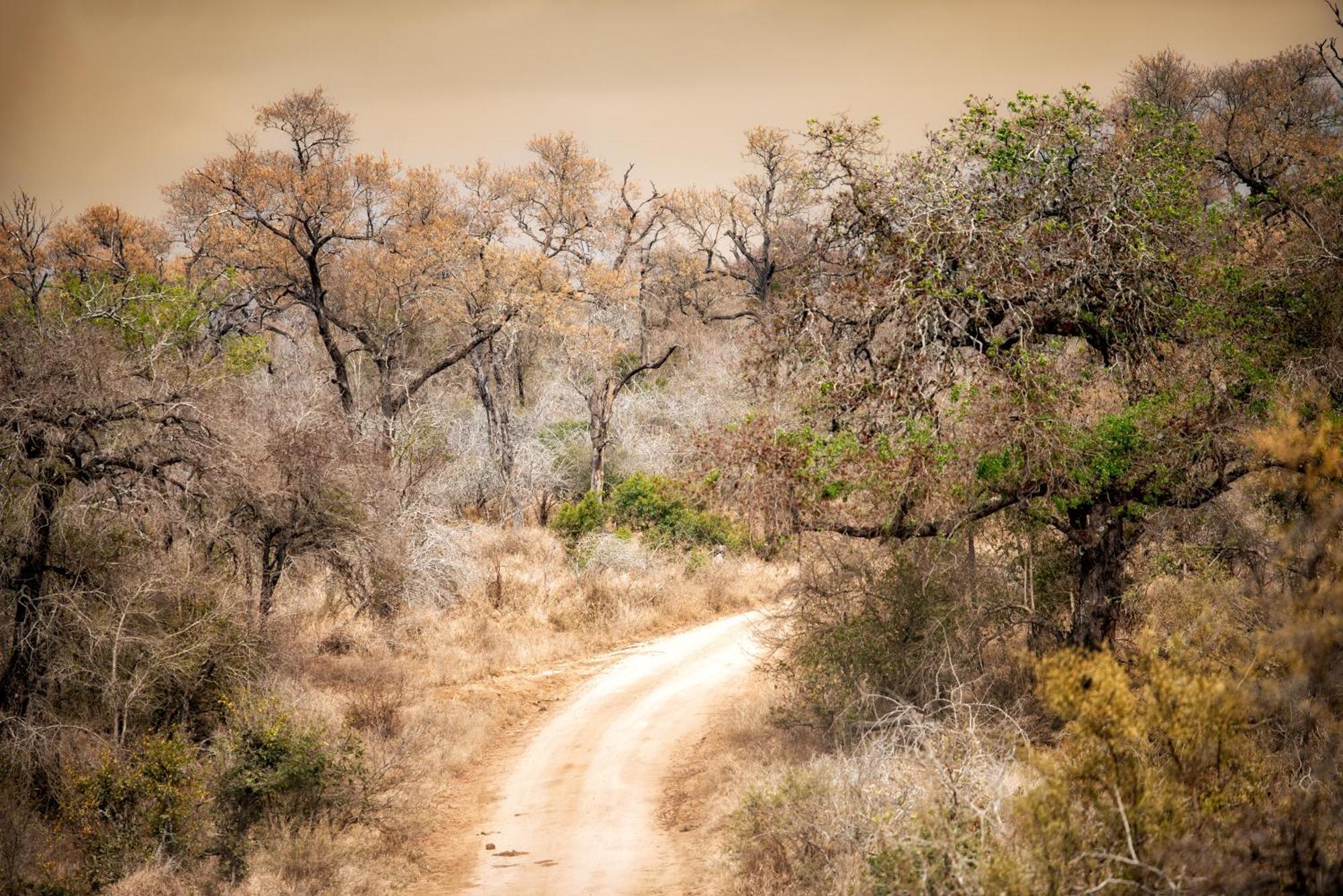 Отель Rhino Walking Safaris Скукуза Экстерьер фото