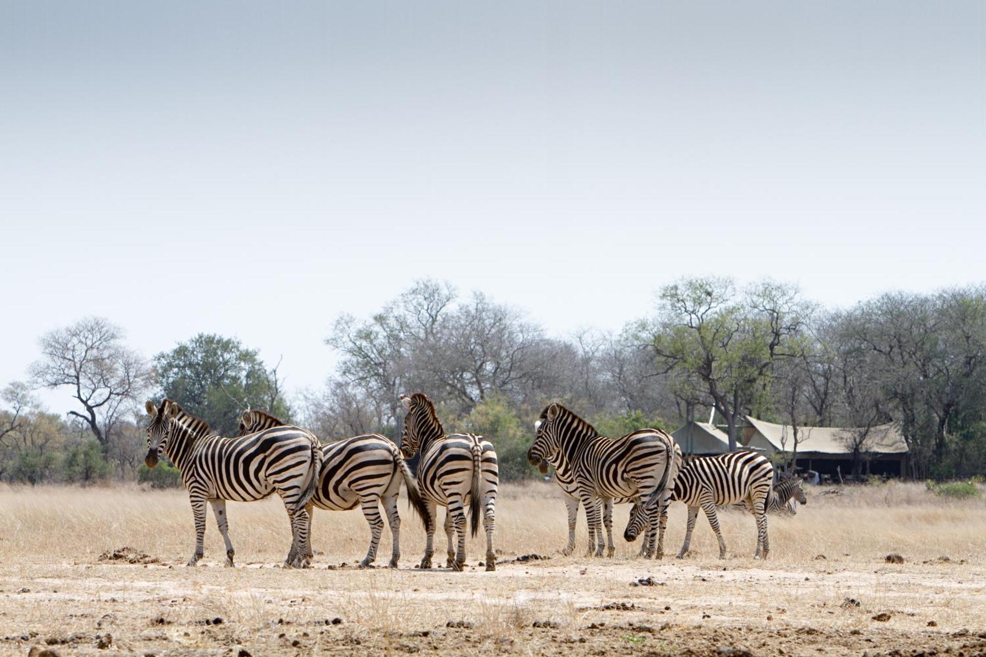 Отель Rhino Walking Safaris Скукуза Экстерьер фото