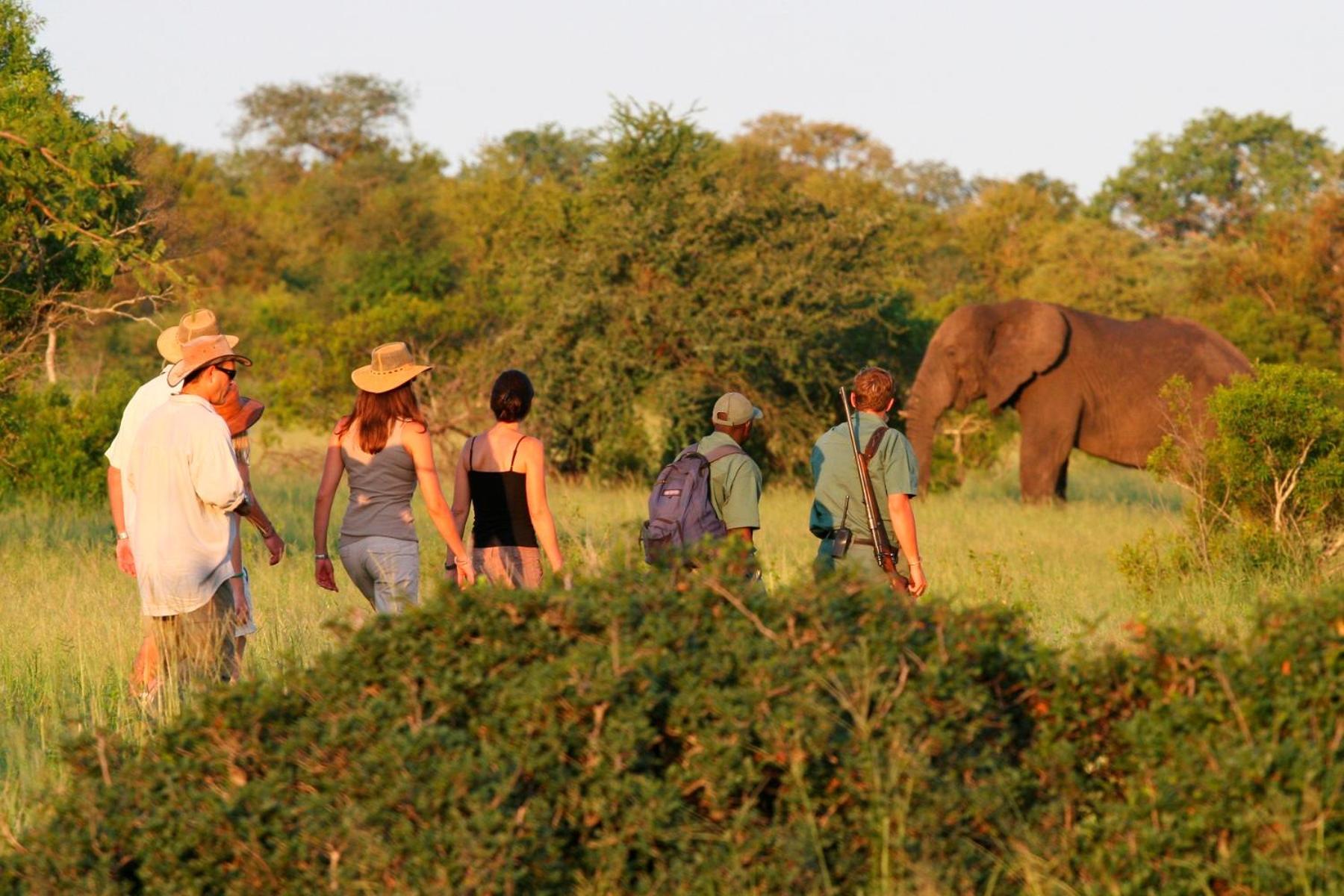 Отель Rhino Walking Safaris Скукуза Экстерьер фото