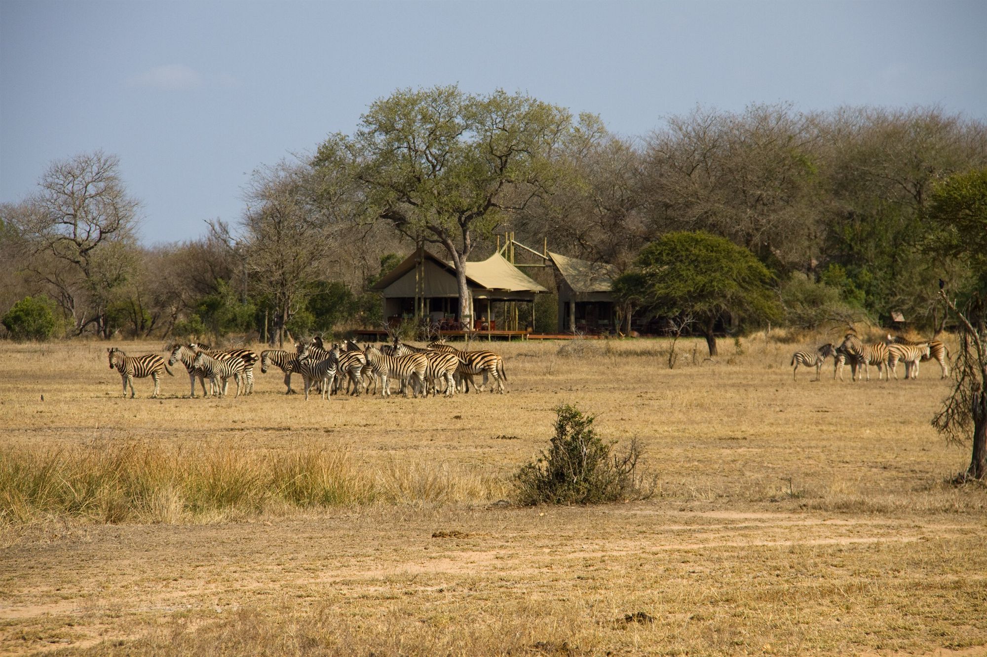 Отель Rhino Walking Safaris Скукуза Экстерьер фото
