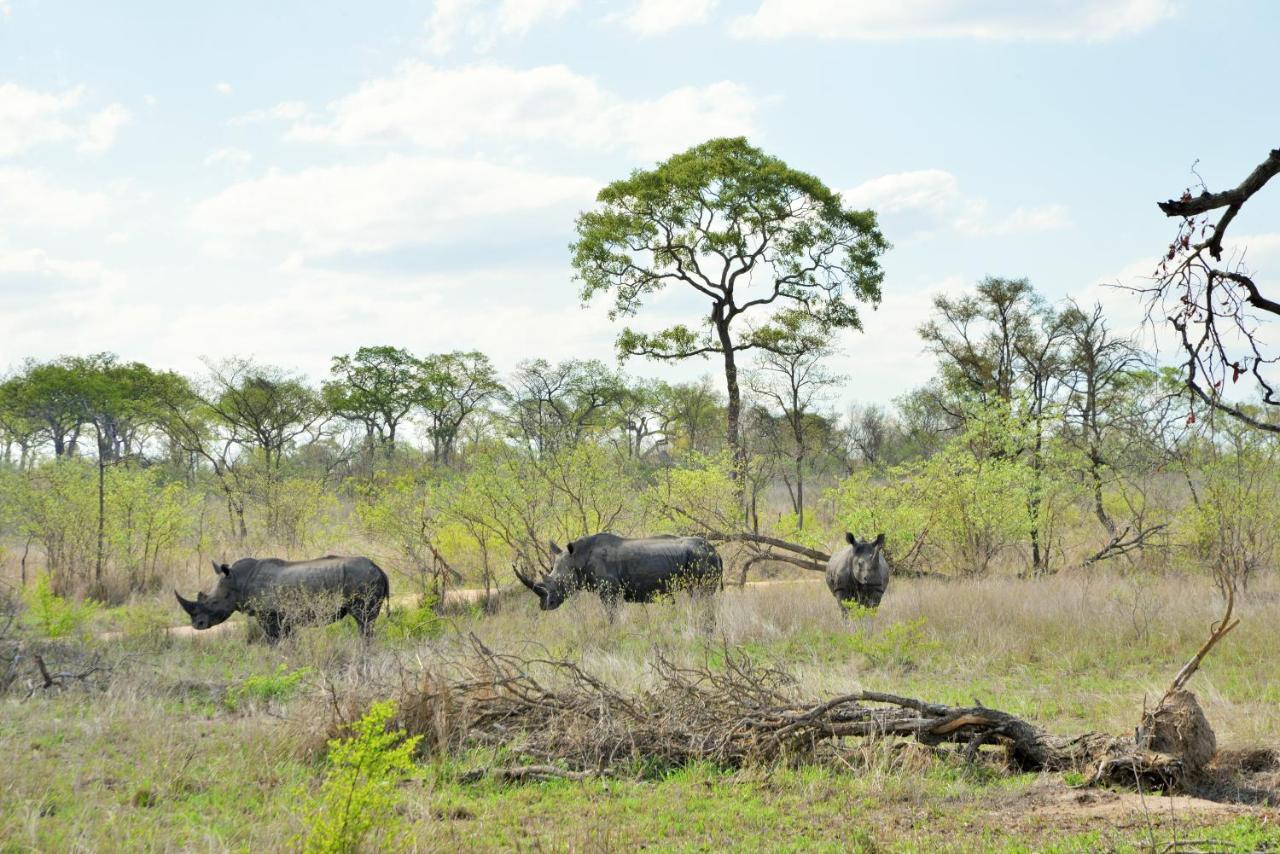 Отель Rhino Walking Safaris Скукуза Экстерьер фото